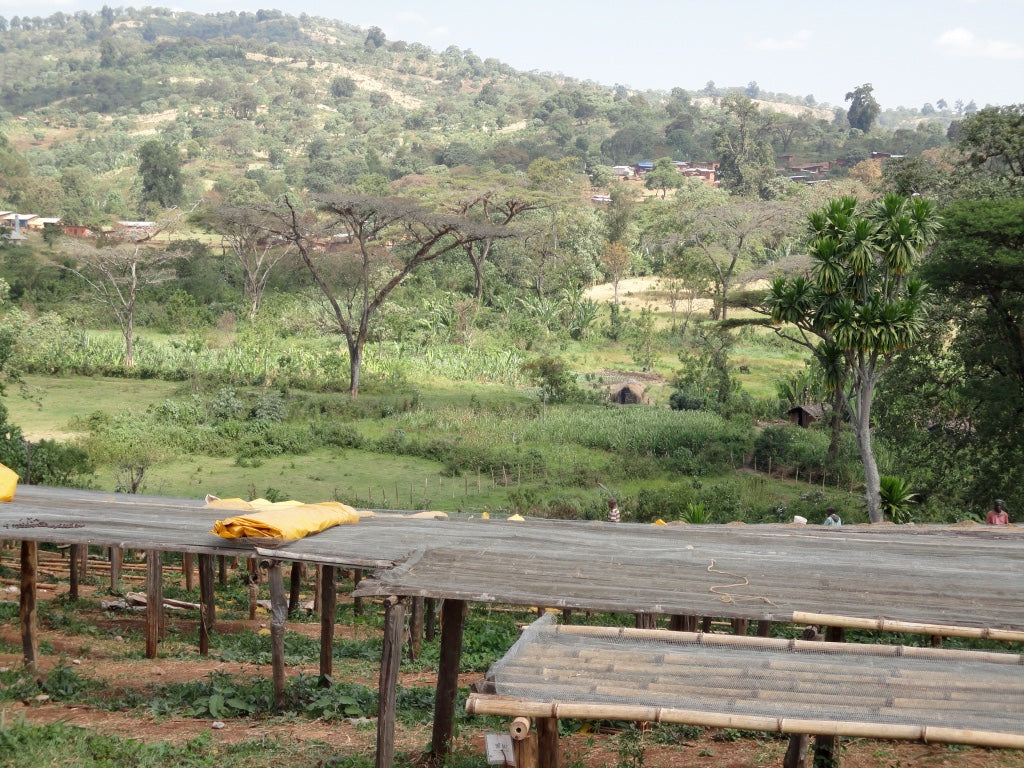 Shantawane | Ethiopie